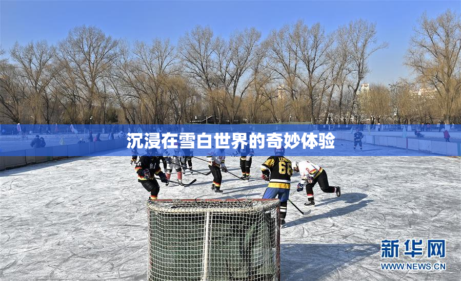 沉浸在雪白世界的奇妙体验