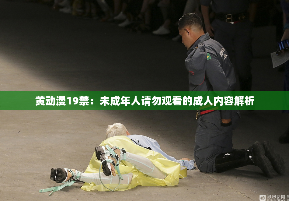 黄动漫19禁：未成年人请勿观看的成人内容解析