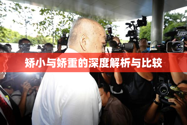 矫小与娇重的深度解析与比较