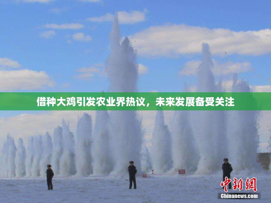 借种大鸡引发农业界热议，未来发展备受关注