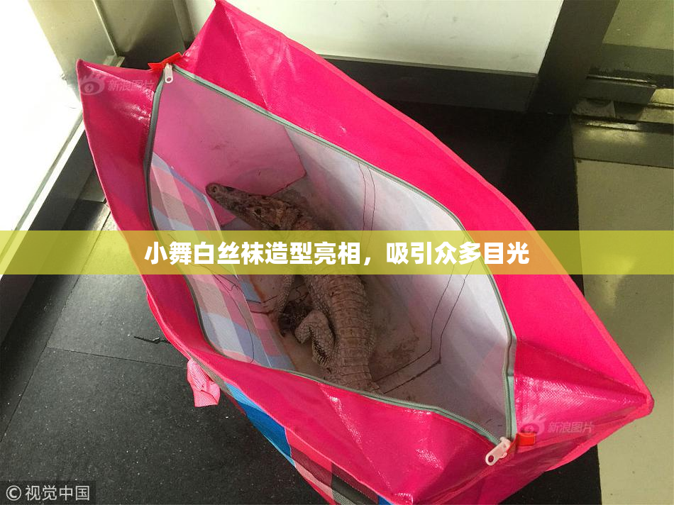 小舞白丝袜造型亮相，吸引众多目光