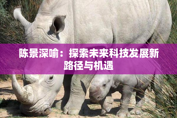 陈景深喻：探索未来科技发展新路径与机遇