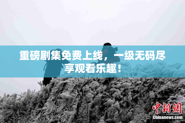 重磅剧集免费上线，一级无码尽享观看乐趣！