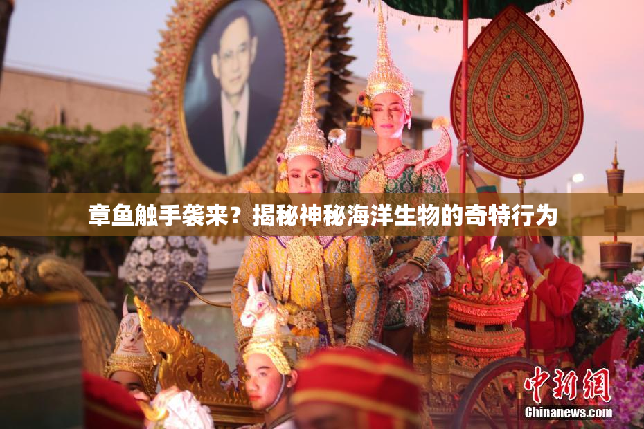 章鱼触手袭来？揭秘神秘海洋生物的奇特行为