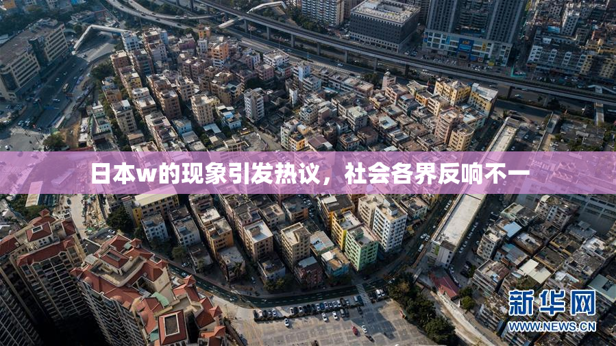 日本w的现象引发热议，社会各界反响不一