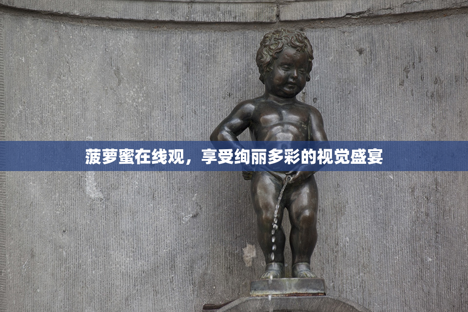 菠萝蜜在线观，享受绚丽多彩的视觉盛宴