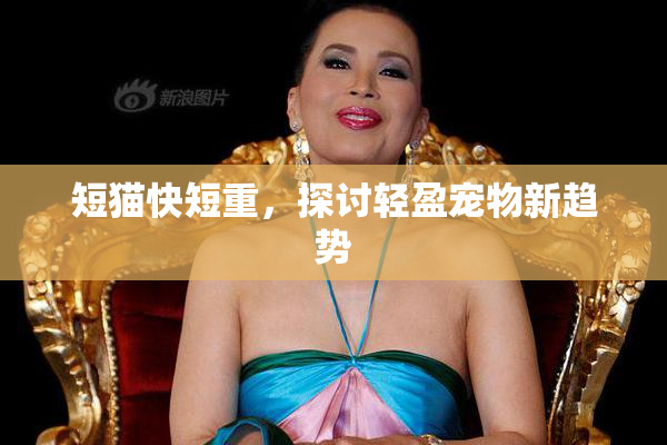 短猫快短重，探讨轻盈宠物新趋势