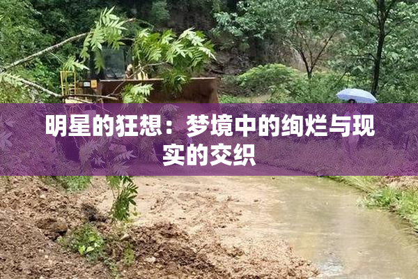 明星的狂想：梦境中的绚烂与现实的交织