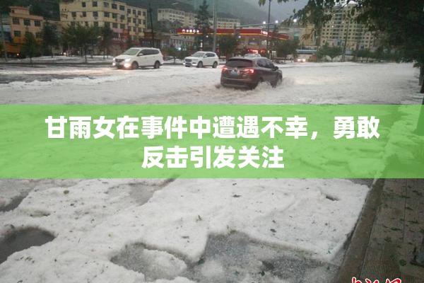 甘雨女在事件中遭遇不幸，勇敢反击引发关注