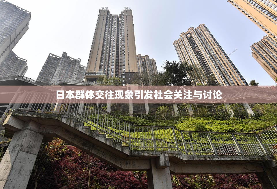 日本群体交往现象引发社会关注与讨论
