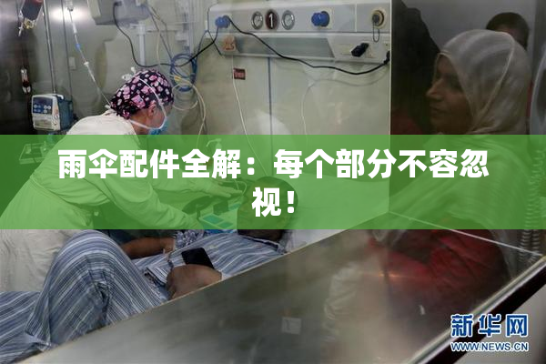 雨伞配件全解：每个部分不容忽视！