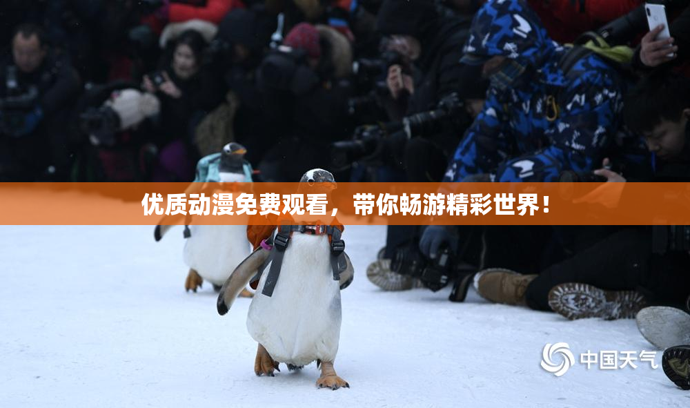 优质动漫免费观看，带你畅游精彩世界！