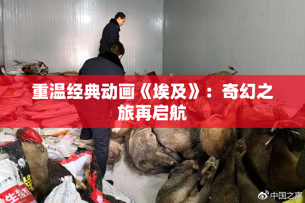 重温经典动画《埃及》：奇幻之旅再启航