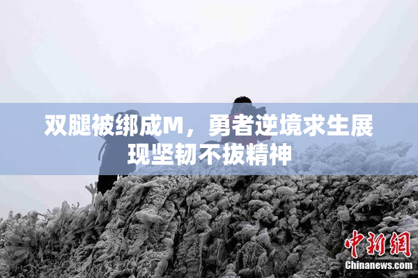双腿被绑成M，勇者逆境求生展现坚韧不拔精神