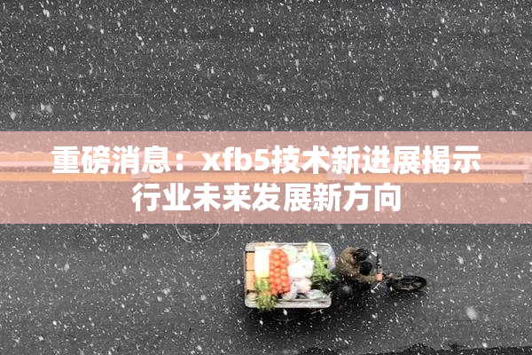 重磅消息：xfb5技术新进展揭示行业未来发展新方向