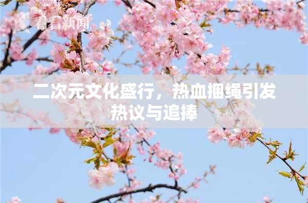 二次元文化盛行，热血捆绳引发热议与追捧