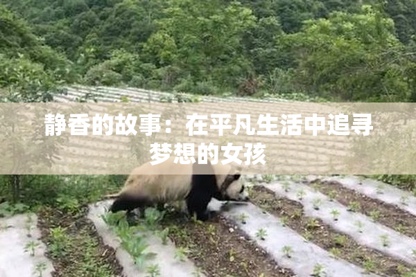 静香的故事：在平凡生活中追寻梦想的女孩