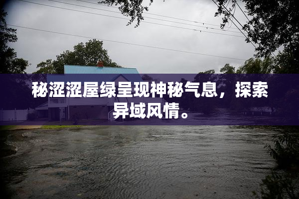 秘涩涩屋绿呈现神秘气息，探索异域风情。