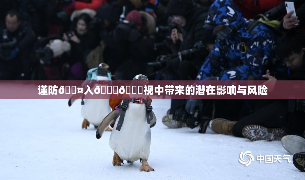谨防🐤入🍑🍑视中带来的潜在影响与风险