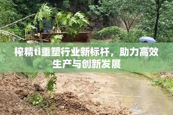 榨精ti重塑行业新标杆，助力高效生产与创新发展