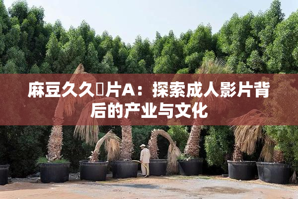 麻豆久久婬片A：探索成人影片背后的产业与文化