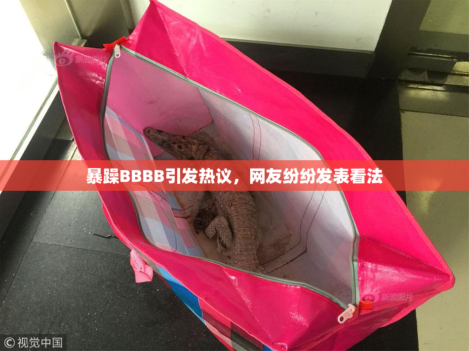 暴躁BBBB引发热议，网友纷纷发表看法