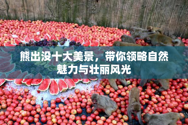 熊出没十大美景，带你领略自然魅力与壮丽风光