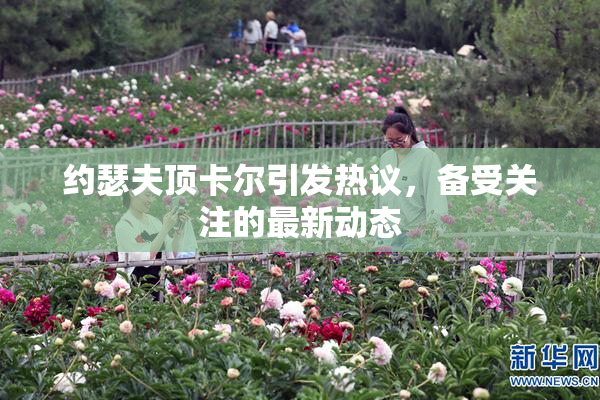 约瑟夫顶卡尔引发热议，备受关注的最新动态