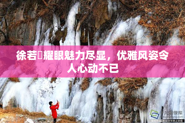 徐若瑄耀眼魅力尽显，优雅风姿令人心动不已