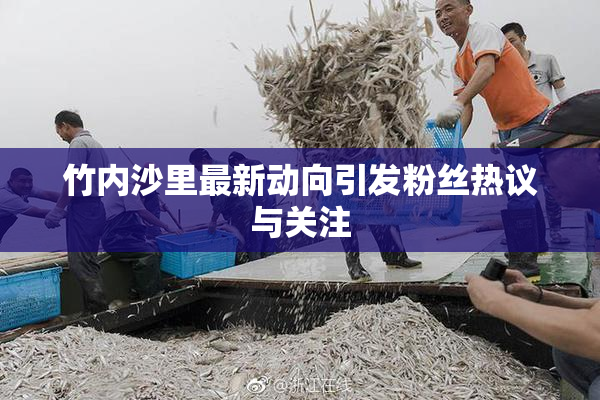 竹内沙里最新动向引发粉丝热议与关注