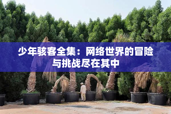少年骇客全集：网络世界的冒险与挑战尽在其中