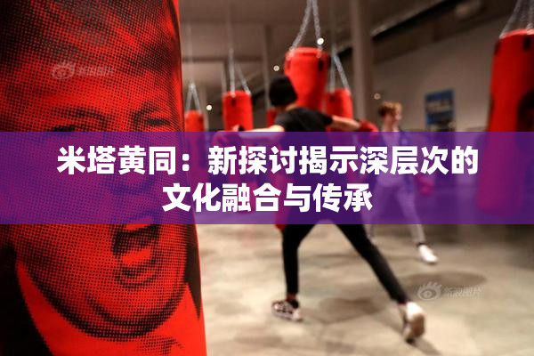 米塔黄同：新探讨揭示深层次的文化融合与传承