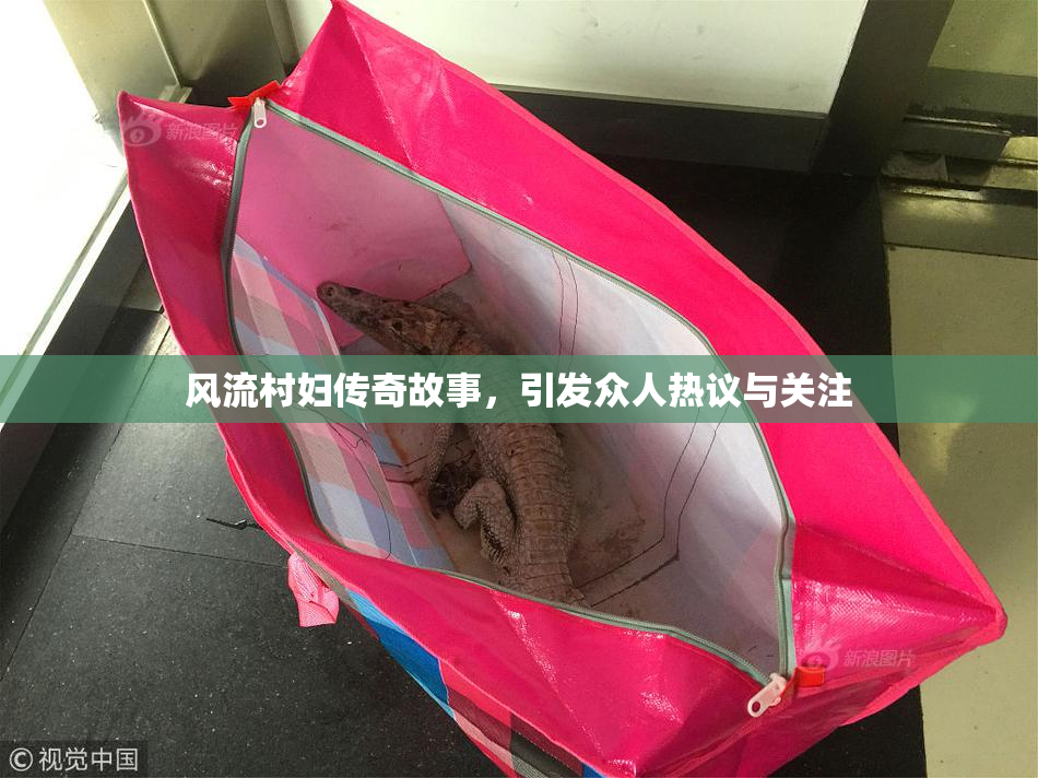 风流村妇传奇故事，引发众人热议与关注