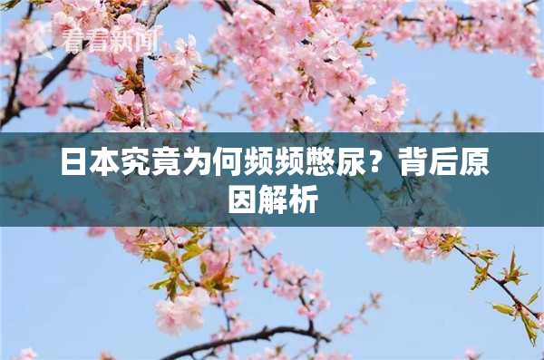 日本究竟为何频频憋尿？背后原因解析