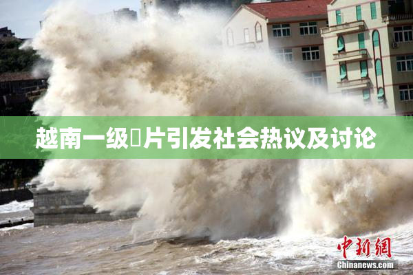 越南一级婬片引发社会热议及讨论