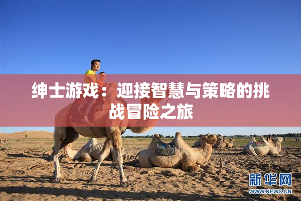 绅士游戏：迎接智慧与策略的挑战冒险之旅