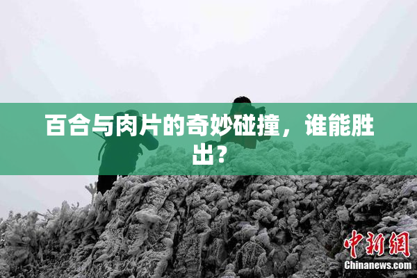 百合与肉片的奇妙碰撞，谁能胜出？