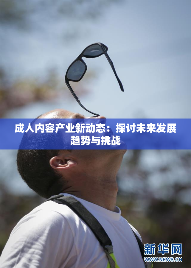 成人内容产业新动态：探讨未来发展趋势与挑战