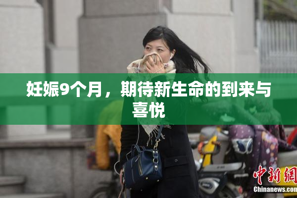 妊娠9个月，期待新生命的到来与喜悦