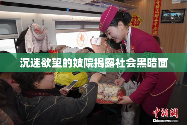 沉迷欲望的妓院揭露社会黑暗面