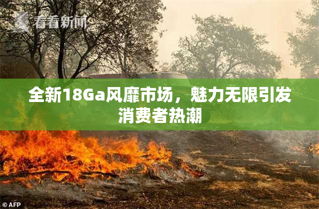 全新18Ga风靡市场，魅力无限引发消费者热潮