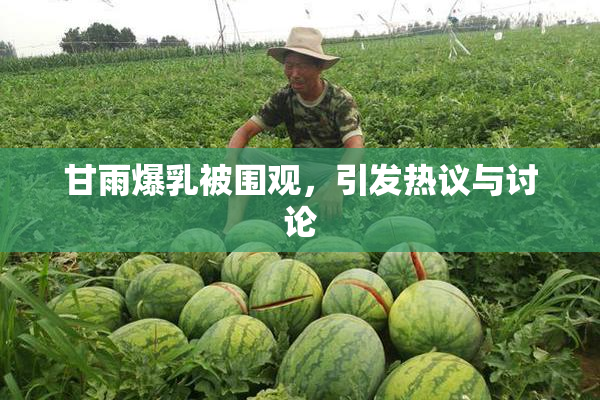 甘雨爆乳被围观，引发热议与讨论