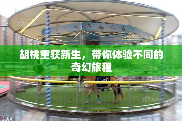 胡桃重获新生，带你体验不同的奇幻旅程