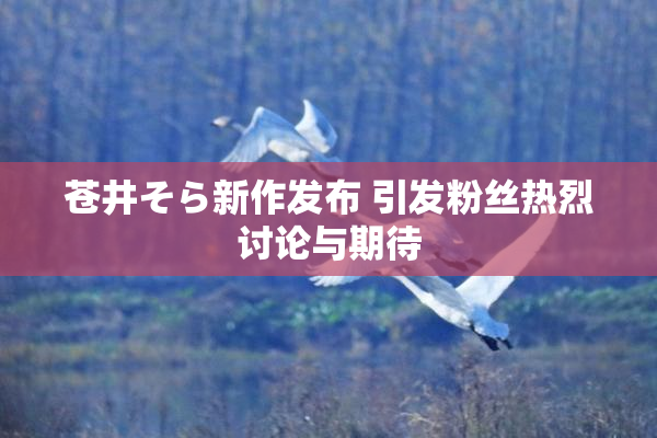 苍井そら新作发布 引发粉丝热烈讨论与期待