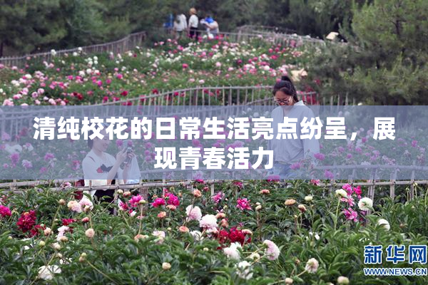 清纯校花的日常生活亮点纷呈，展现青春活力