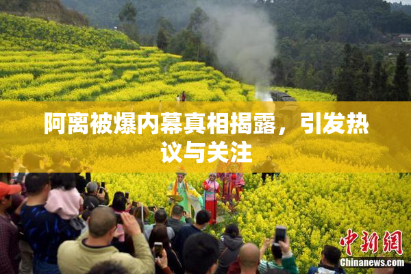 阿离被爆内幕真相揭露，引发热议与关注
