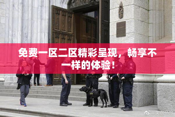 免费一区二区精彩呈现，畅享不一样的体验！