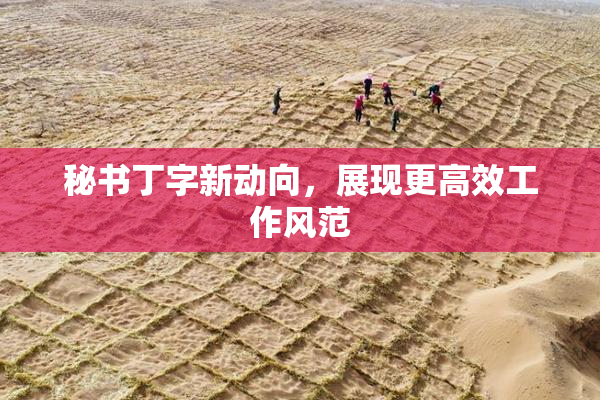 秘书丁字新动向，展现更高效工作风范