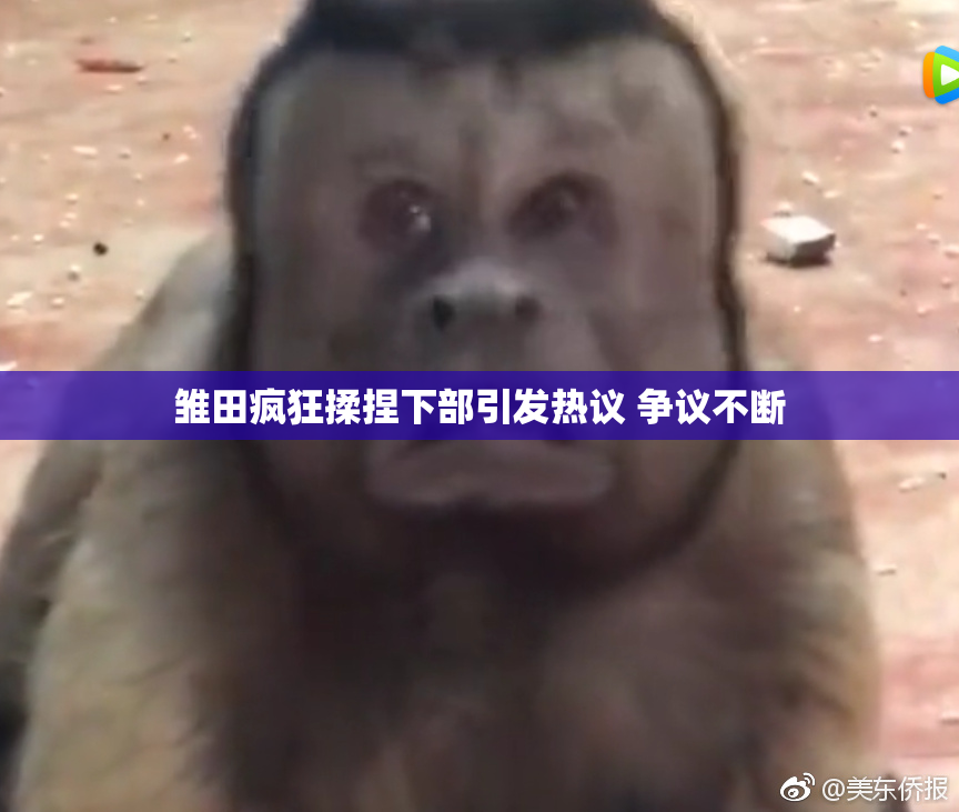 雏田疯狂揉捏下部引发热议 争议不断