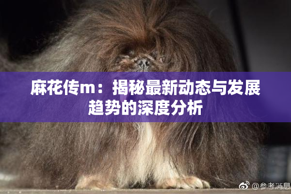麻花传m：揭秘最新动态与发展趋势的深度分析